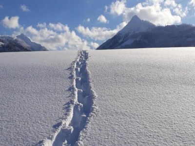 Apartment Chalet in Austria near Ski Slopes & Nature - Environment photo 30