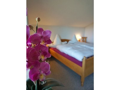 Holiday apartment Heininger - Features photo 9