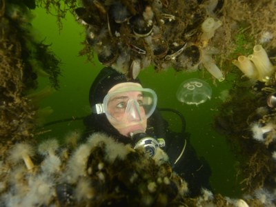 Holiday house Detached 6-person (Pipi) - Environment photo 20