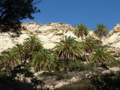 Holiday apartment in House Gaby - Environment photo 19