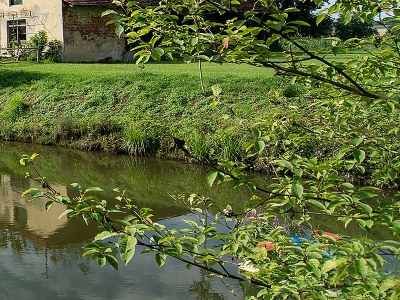 Holiday apartment Landgut zur Mühle (Mühle Country Estate) - Outdoor photo 7
