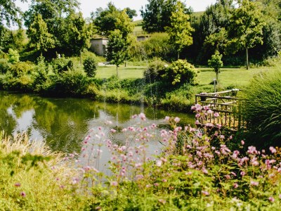 Holiday apartment Landgut zur Mühle (Mühle Country Estate) - Outdoor photo 10