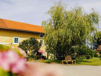 Holiday apartment Landgut zur Mühle (Mühle Country Estate) - Outdoor photo 12
