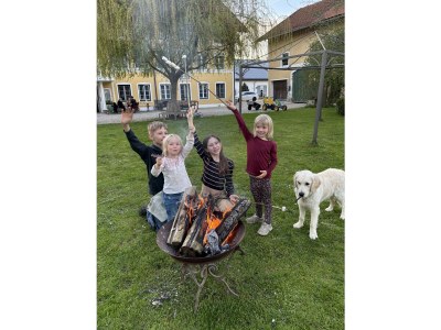 Holiday apartment Landgut zur Mühle (Mühle Country Estate) - Outdoor photo 15