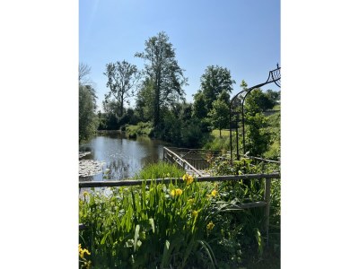 Holiday apartment Landgut zur Mühle (Mühle Country Estate) - Outdoor photo 19