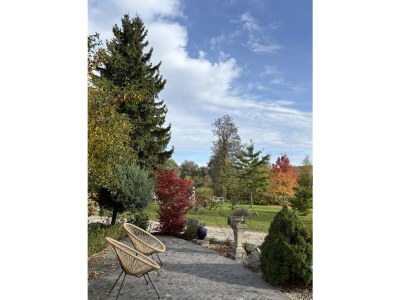 Holiday apartment Landgut zur Mühle (Mühle Country Estate) - Outdoor photo 20