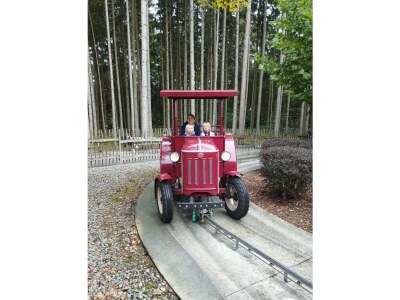 Holiday apartment Landgut zur Mühle (Mühle Country Estate) - Environment photo 38
