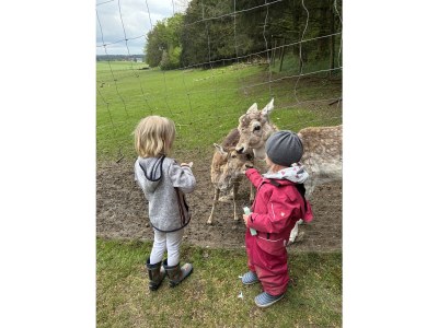 Holiday apartment Landgut zur Mühle (Mühle Country Estate) - Environment photo 39