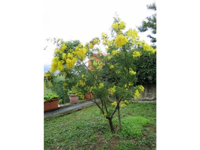 Holiday house Villetta Bianca - Outdoor photo 7