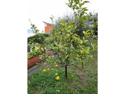 Holiday house Villetta Bianca - Outdoor photo 8