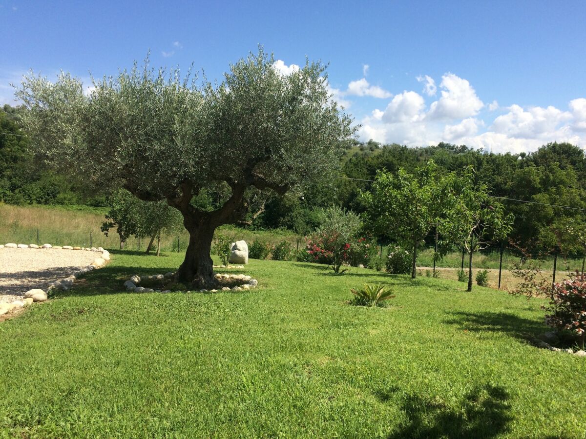 Holiday house Hillside Escape mit Pool - Outdoor photo 2