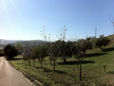 Holiday house Hillside Escape mit Pool - Outdoor photo 11