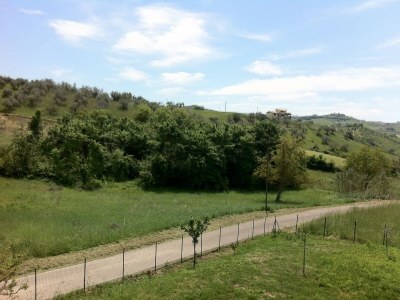 Holiday house Hillside Escape mit Pool - Environment photo 34