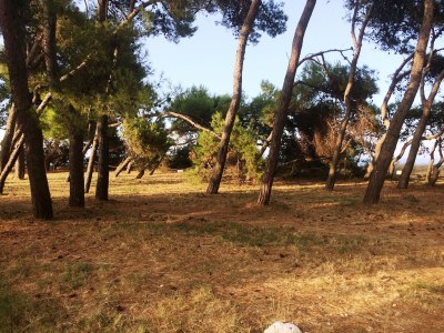 Holiday house Hillside Escape mit Pool - Environment photo 35