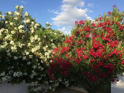 Holiday house Hillside Escape mit Pool - Outdoor photo 38
