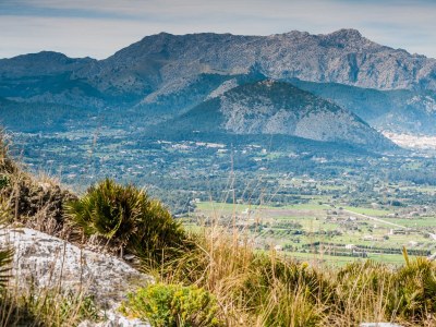 Villa Sa Tanca (Mancorina) - Environment photo 37