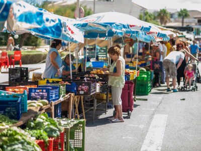 Chalet Can Pons - Environment photo 6