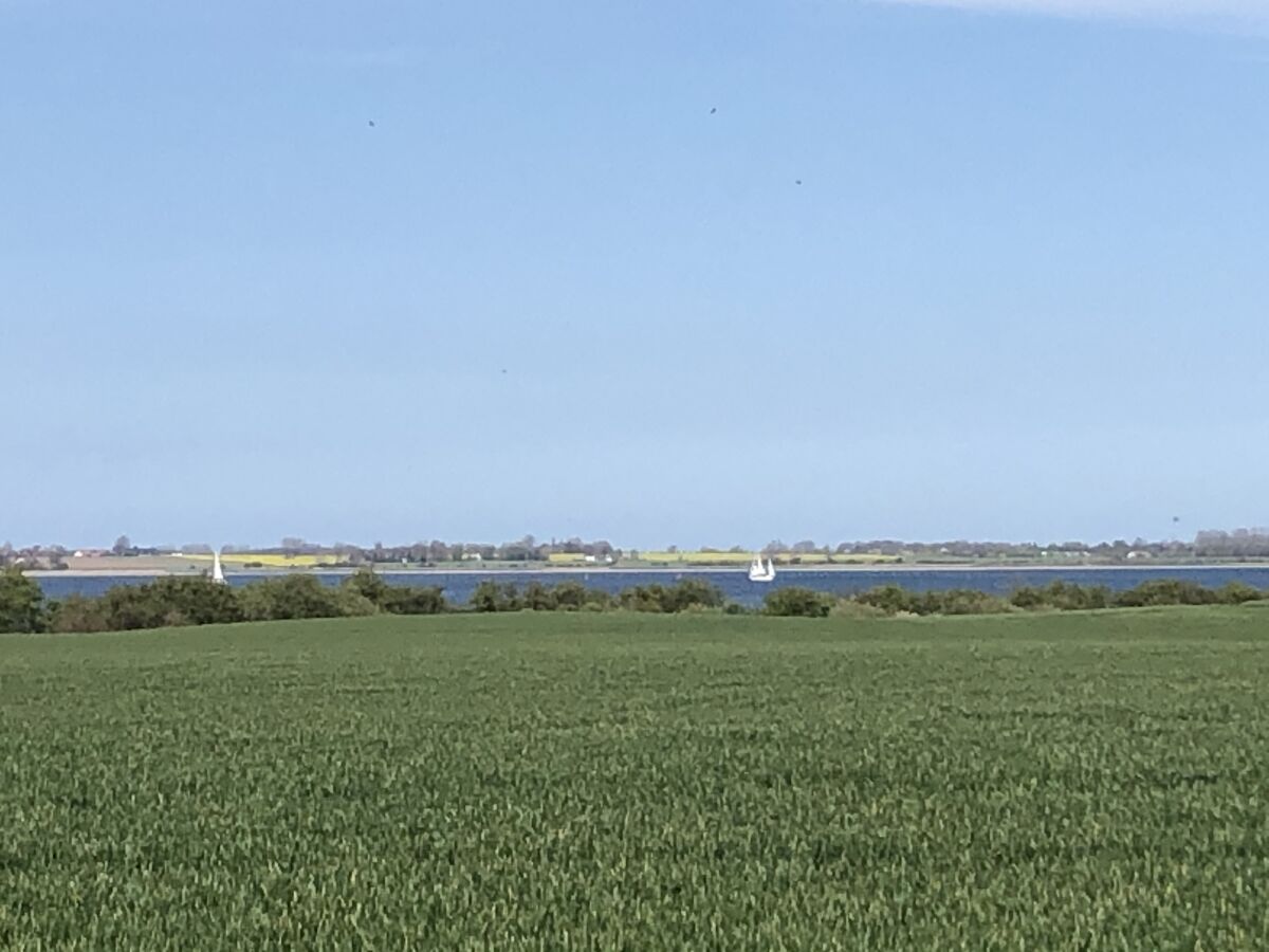 Villa Susi and Strolchis - Outdoor photo 4