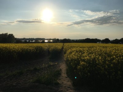 Villa Susi and Strolchis - Outdoor photo 6