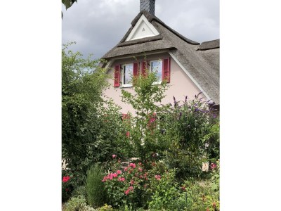 Villa Susi and Strolchis - Outdoor photo 7