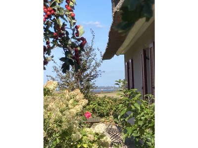 Villa Susi and Strolchis - Outdoor photo 9