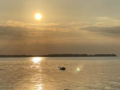 Villa Susi and Strolchis - Environment photo 34