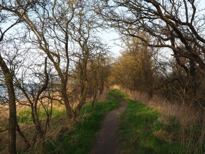 Villa Susi and Strolchis - Environment photo 36