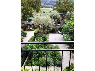 Holiday apartment Rebenhof - Senhalser Höfe - Features photo 11