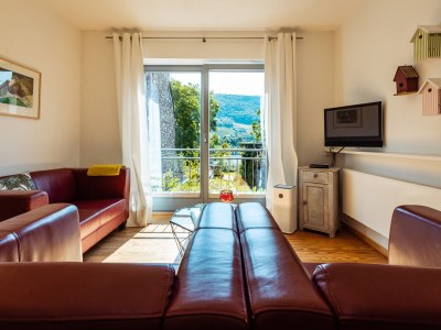 Holiday apartment Rebenhof - Senhalser Höfe - Features photo 14