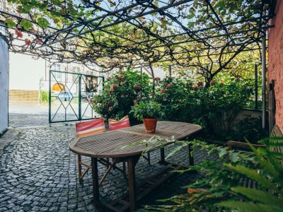 Holiday apartment Rebenhof - Senhalser Höfe - Features photo 26