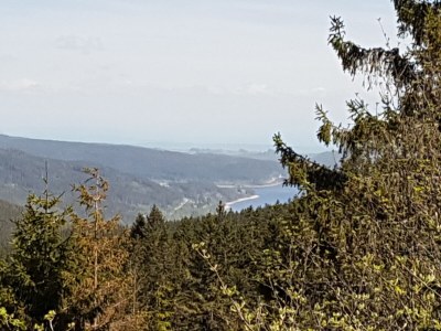 Holiday apartment Mutter - Environment photo 13