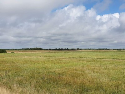 Holiday house Abgeschiedenes Refugium -- By Traum Ferienwohnungen - Outdoor photo 31