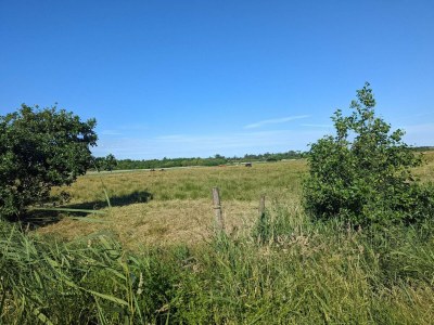 Holiday house Abgeschiedenes Refugium -- By Traum Ferienwohnungen - Outdoor photo 33