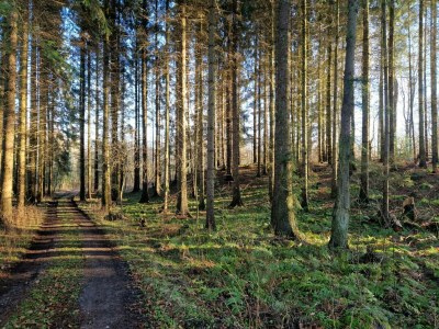 Holiday house Seaside Haven with open terrace - Outdoor photo 12