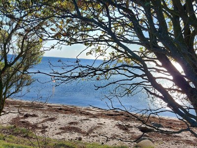 Holiday house Seaside Haven with open terrace - Outdoor photo 13