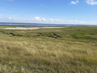 Apartment 5 person holiday home in Rømø-By Traum - Outdoor photo 29