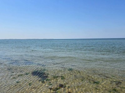 Apartment 5 person holiday home in Rømø-By Traum - Outdoor photo 43