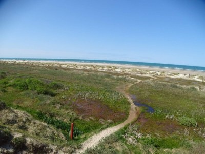 Holiday house Family Retreat in Lodskovvad - By Traum Ferienwohnungen - Outdoor photo 2