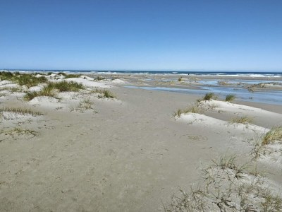 Holiday house Family Retreat in Lodskovvad - By Traum Ferienwohnungen - Outdoor photo 3