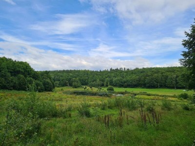 Holiday house Family Retreat in Lodskovvad - By Traum Ferienwohnungen - Outdoor photo 4