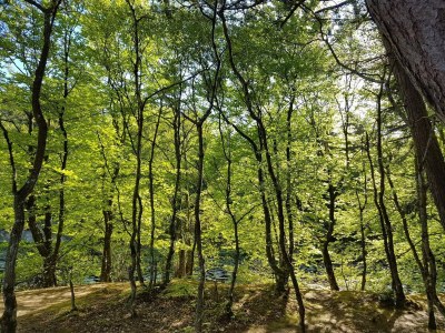 Holiday house Family Retreat in Lodskovvad - By Traum Ferienwohnungen - Outdoor photo 6