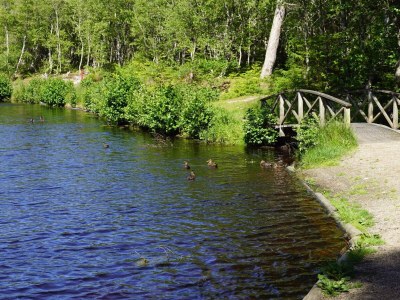 Holiday house Family Retreat in Lodskovvad - By Traum Ferienwohnungen - Outdoor photo 14
