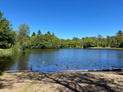 Holiday house Family Retreat in Lodskovvad - By Traum Ferienwohnungen - Outdoor photo 24