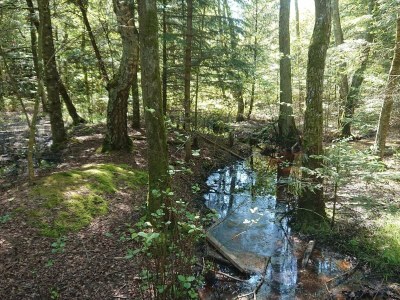 Holiday house Family Retreat in Lodskovvad - By Traum Ferienwohnungen - Outdoor photo 25