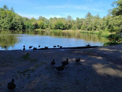 Holiday house Family Retreat in Lodskovvad - By Traum Ferienwohnungen - Outdoor photo 26