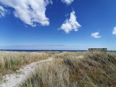 Holiday house 6 person holiday home in Hals-By Traum - Outdoor photo 28