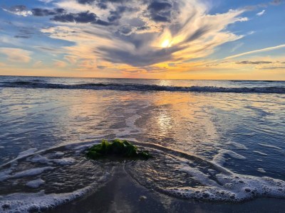Holiday house Luxurioses Refugium mit Pool -- By Traum Ferienwohnungen - Outdoor photo 6