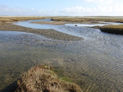 Holiday house Luxurioses Refugium mit Pool -- By Traum Ferienwohnungen - Outdoor photo 36