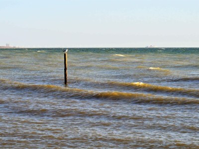 Holiday house 10 person holiday home in Rødby-By Traum - Outdoor photo 7