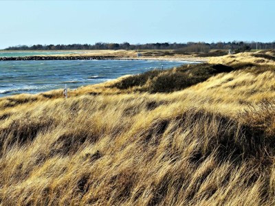 Holiday house 10 person holiday home in Rødby-By Traum - Outdoor photo 28